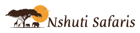 Nshuti